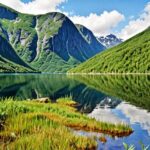 Norwegian and Polish Contributions to Biodiversity Finance Highlight Discrepancies, Report Reveals