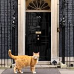 Downing Street’s New Boss – And No, It’s Not Larry the Cat!