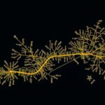 Exploring the Map Artistry of London’s Underground: ‘Mapping the Tube: 1863-2023’